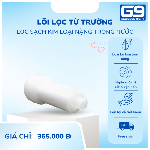 LÕI LỌC TỪ TRƯỜNG